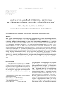 Electrophysiologic effects of adenosine triphosphate on rabbit