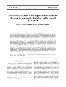 Phosphorus dynamics during the transition from nitrogen to