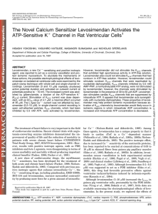 The Novel Calcium Sensitizer Levosimendan Activates the ATP