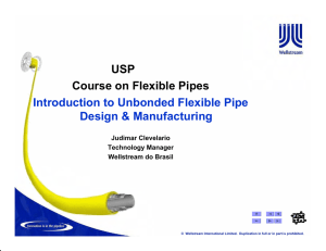 Specification for Unbonded Flexible Pipe - LEM