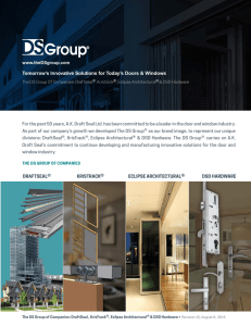 DS Group® of Companies Brochure