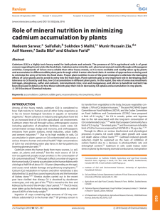 Role of mineral nutrition in minimizing cadmium accumulation by