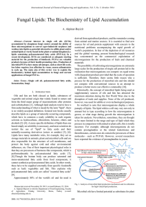 Fungal Lipids: The Biochemistry of Lipid Accumulation