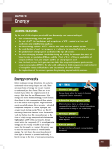 Chapter 16: Energy - Pearson Schools and FE Colleges