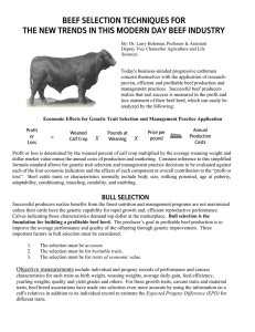 = X X BEEF SELECTION TECHNIQUES FOR THE NEW TRENDS IN