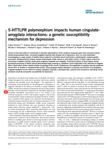 5-HTTLPR polymorphism impacts human cingulate