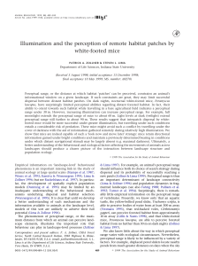 Illumination and the perception of remote habitat patches by white