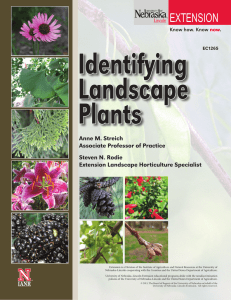 Identifying Landscape Plants - Nebraska Extension