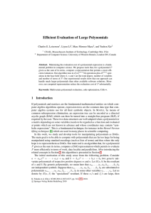 Efficient Evaluation of Large Polynomials