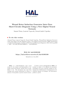 Wound Rotor Induction Generator Inter-Turn Short