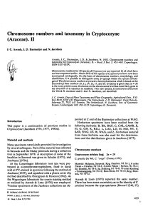 Chromosome numbers and taxonomy in Cryptocoryne (Araceae). II