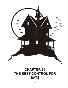 chapter 34 the best control for bats