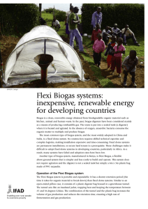 Flexi Biogas systems: inexpensive, renewable energy for