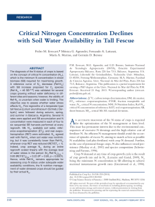 Critical Nitrogen Concentration Declines with Soil