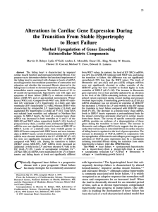 Alterations in Cardiac Gene Expression During the Transition From