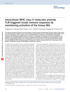 Intracellular MHC class II molecules promote TLR