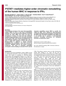 P-STAT1 mediates higher-order chromatin remodelling of the