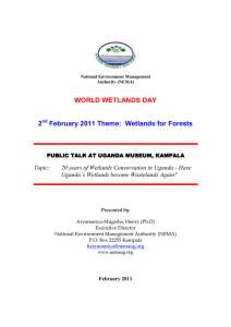 Presentation on Wetlands
