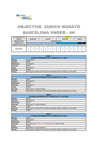 Plan Sub 4h. - Zurich Marató de Barcelona