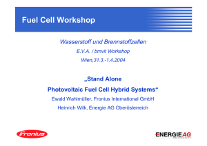 Fuel Cell Workshop