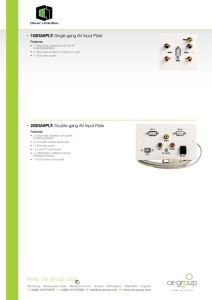 / 1GEIAVPLT: Single-gang AV Input Plate / 2GEIAVPLT: Double