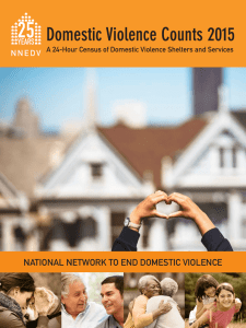 Domestic Violence Counts 2015 - National Network to End Domestic