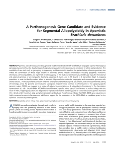 View PDF - Genetics