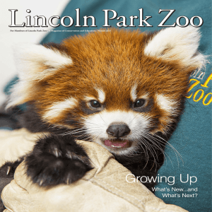 Growing Up - Lincoln Park Zoo