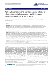 Anti-inflammatory/anti-amyloidogenic effects of plasmalogens in