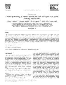 Cortical processing of speech sounds and their analogues in a