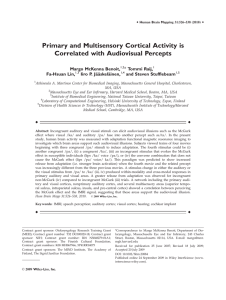 Primary and multisensory cortical activity is correlated with