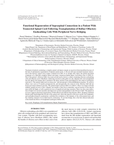 Functional Regeneration of Supraspinal Connections in a Patient