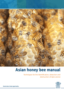 Asian honey bee manual Techniques for the identification, detection