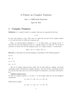 A Primer on Complex Numbers