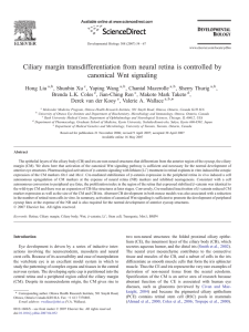 Ciliary margin transdifferentiation from neural retina is controlled by