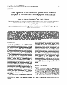 Gene expression of the insulin-like growth factors and their