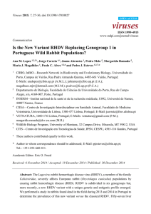 Is the New Variant RHDV Replacing Genogroup 1 in Portuguese