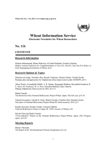 Wheat Information Service - SHIGEN