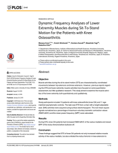 Dynamic Frequency Analyses of Lower Extremity Muscles
