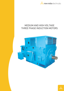 medium and high voltage three phase induction motors