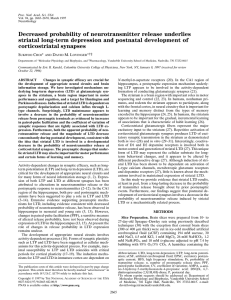 Decreased probability of neurotransmitter release underlies striatal