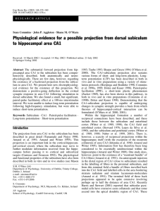 Physiological evidence for a possible projection from dorsal
