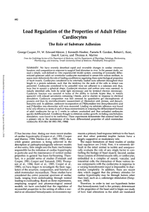 Load Regulation of the Properties of Adult Feline Cardiocytes