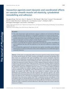 Vasoactive agonists exert dynamic and coordinated effects on