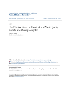 The Effect of Stress on Livestock and Meat Quality Prior to and