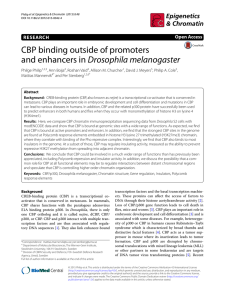 CBP binding outside of promoters and enhancers in Drosophila
