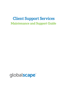 Client Support Services