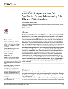 A WUSCHEL-Independent Stem Cell Specification Pathway Is