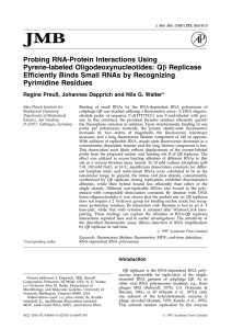 Probing RNA-Protein Interactions Using Pyrene
