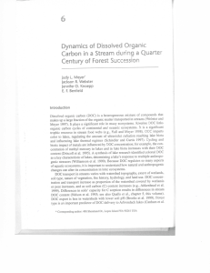 Dynamics of Dissolved Organic Carbon in a Stream during a Quarter